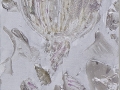 Astratti
