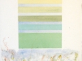 Acquarelli - Fiori