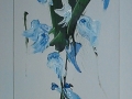 Acquarelli - Fiori